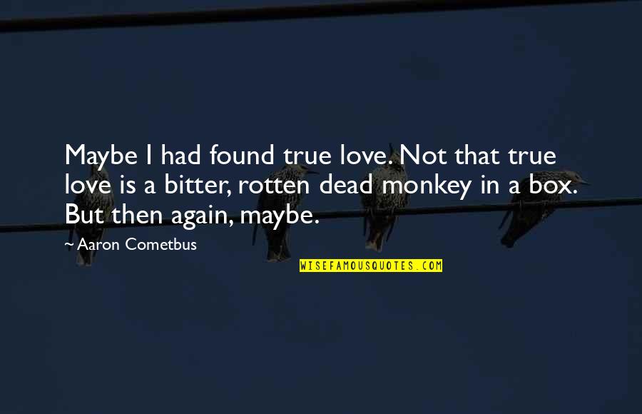 Bitter Love Quotes By Aaron Cometbus: Maybe I had found true love. Not that
