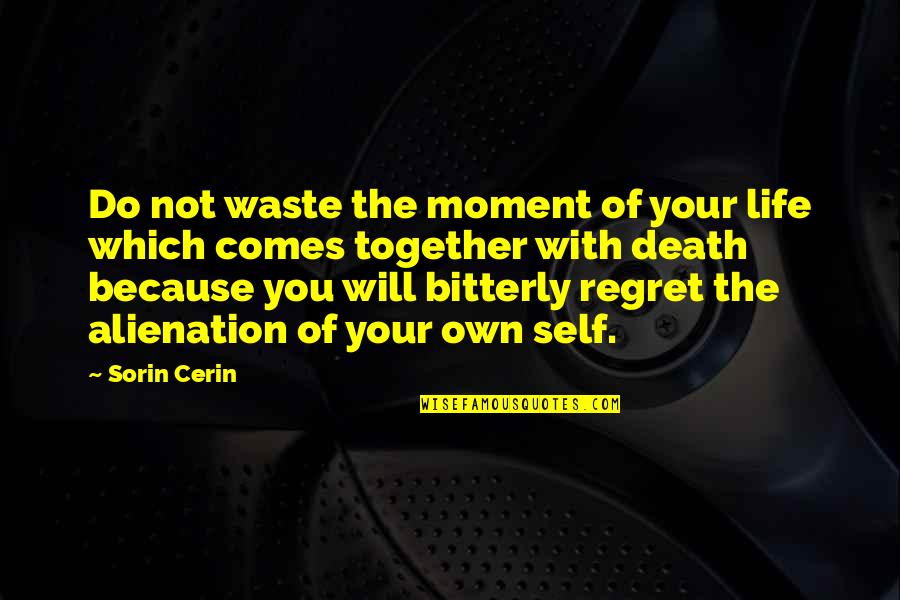 Bitterly Quotes By Sorin Cerin: Do not waste the moment of your life