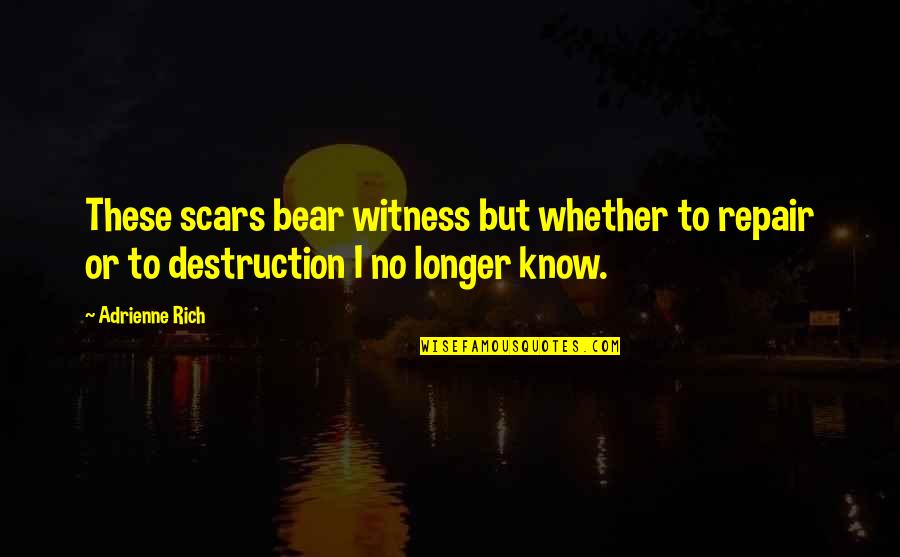Bitterroots Cj Quotes By Adrienne Rich: These scars bear witness but whether to repair