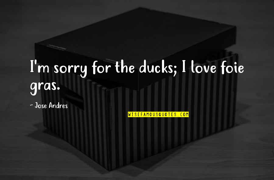 Bitting Quotes By Jose Andres: I'm sorry for the ducks; I love foie Bitting Quotes By Jose Andres: I'm sorry for the ducks; I love foie