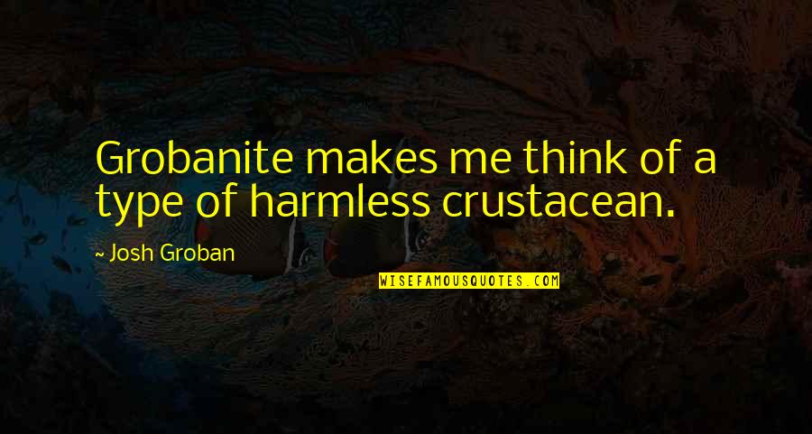 Biyikli Benedict Quotes By Josh Groban: Grobanite makes me think of a type of