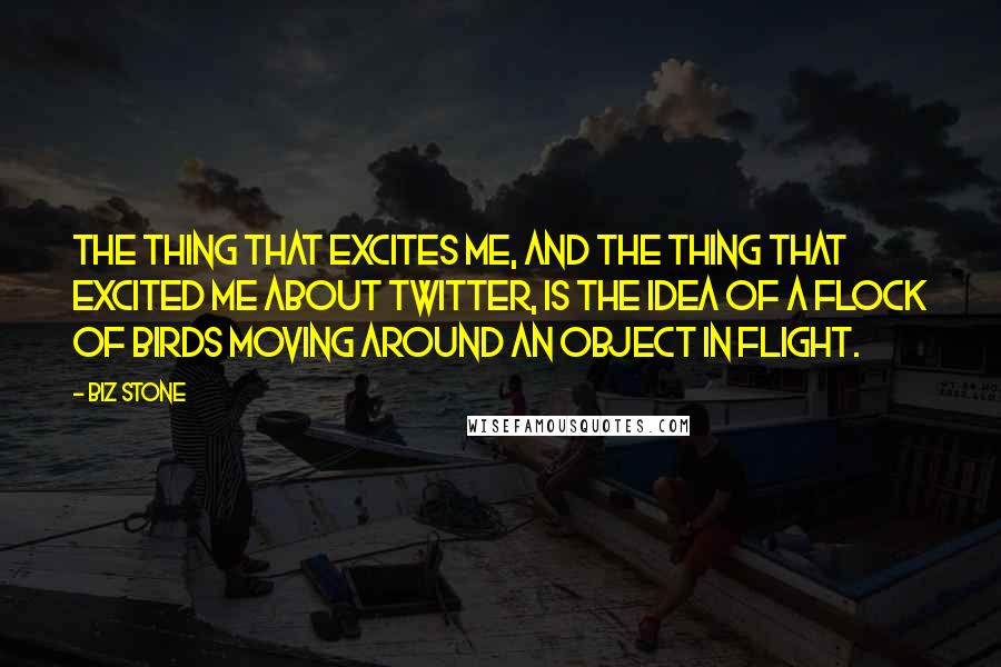 Biz Stone quotes: The thing that excites me, and the thing that excited me about Twitter, is the idea of a flock of birds moving around an object in flight.