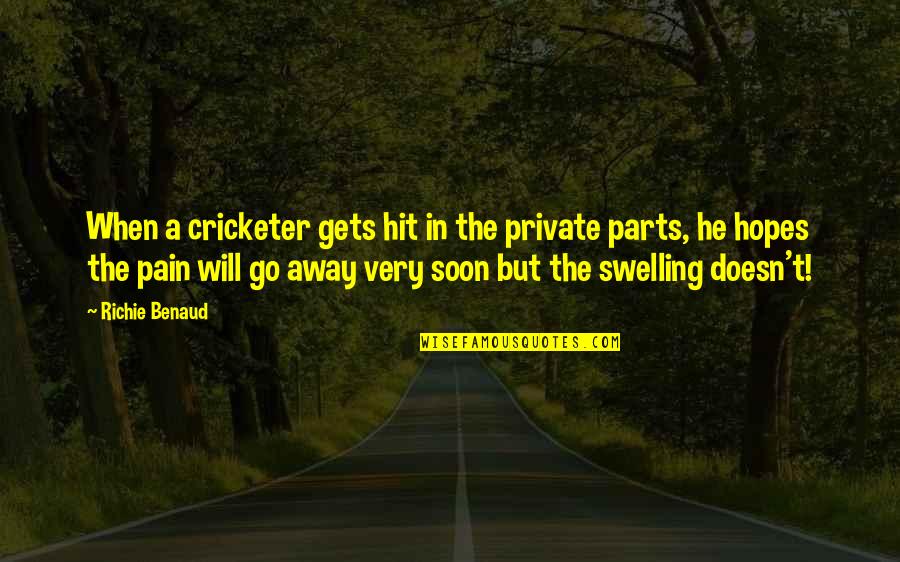 Bizet Farandole Quotes By Richie Benaud: When a cricketer gets hit in the private