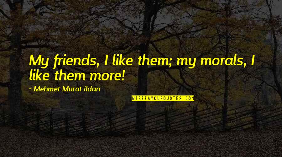 Bizjak Gostilna Quotes By Mehmet Murat Ildan: My friends, I like them; my morals, I