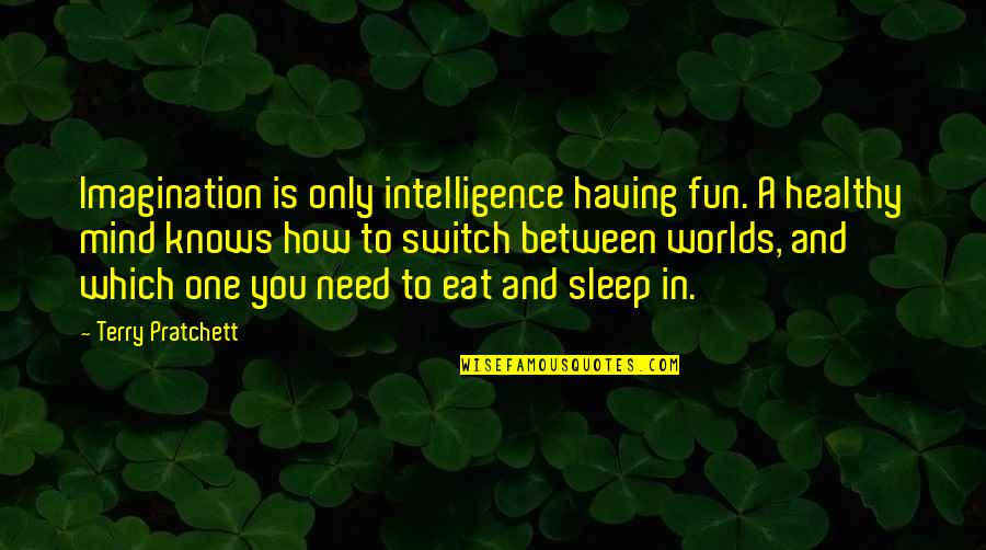 Bj Habibie Love Quotes By Terry Pratchett: Imagination is only intelligence having fun. A healthy