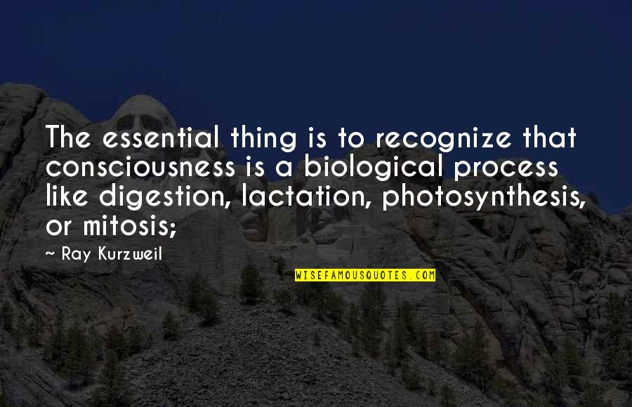 Bj Palmer Quotes By Ray Kurzweil: The essential thing is to recognize that consciousness