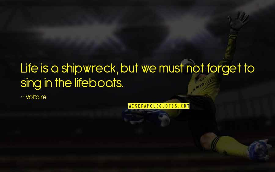 Bj Rk Quotes By Voltaire: Life is a shipwreck, but we must not
