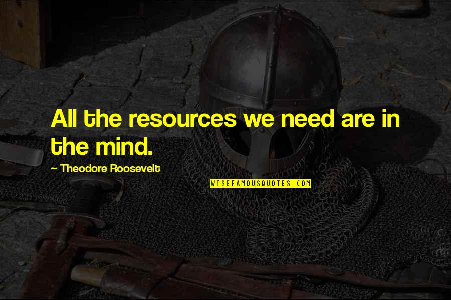 Bjerg Instruments Quotes By Theodore Roosevelt: All the resources we need are in the