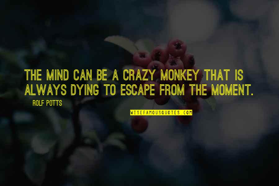 Bjerknes Force Quotes By Rolf Potts: The mind can be a crazy monkey that