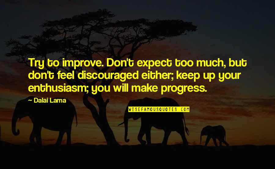 Bjj Art Quotes By Dalai Lama: Try to improve. Don't expect too much, but