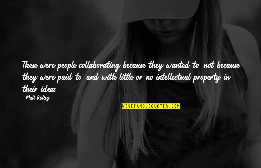 Bjoern Schwer Quotes By Matt Ridley: These were people collaborating because they wanted to, Bjoern Schwer Quotes By Matt Ridley: These were people collaborating because they wanted to,