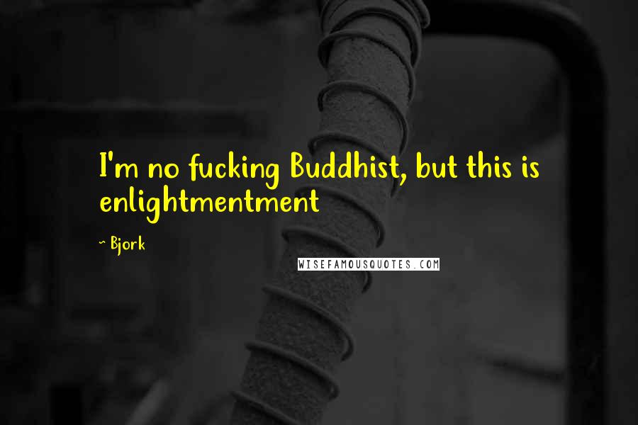 Bjork quotes: I'm no fucking Buddhist, but this is enlightmentment