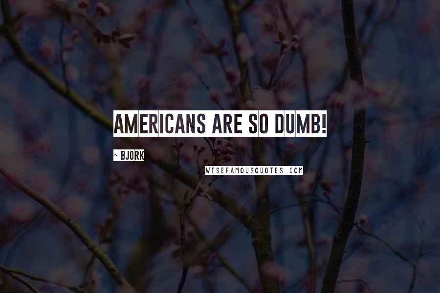 Bjork quotes: Americans are so dumb!