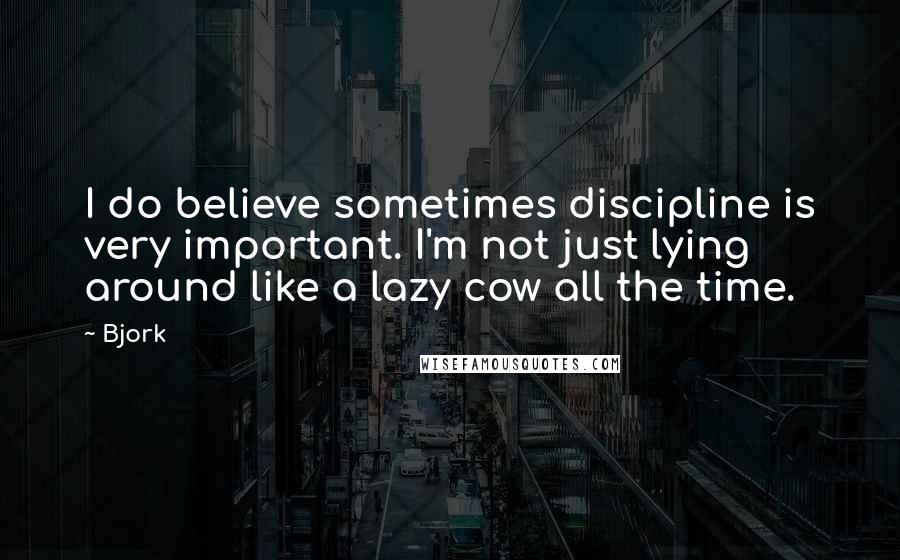 Bjork quotes: I do believe sometimes discipline is very important. I'm not just lying around like a lazy cow all the time.