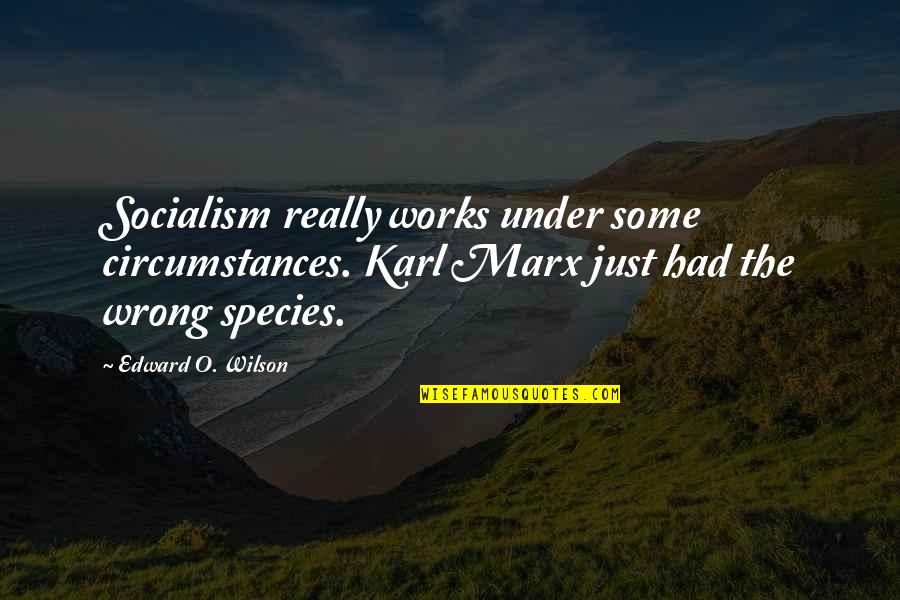 Bjorling Che Quotes By Edward O. Wilson: Socialism really works under some circumstances. Karl Marx