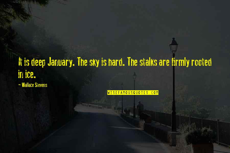 Bjorling Singing Quotes By Wallace Stevens: It is deep January. The sky is hard.