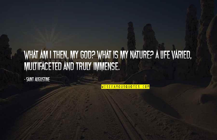 Bjornerud Nationality Quotes By Saint Augustine: What am I then, my God? What is