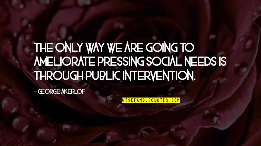 Bjornsen's Quotes By George Akerlof: The only way we are going to ameliorate Bjornsen's Quotes By George Akerlof: The only way we are going to ameliorate