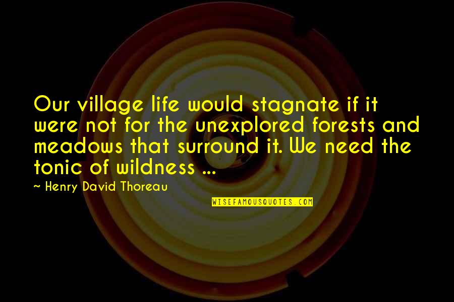 Bl2 Zero Quotes By Henry David Thoreau: Our village life would stagnate if it were