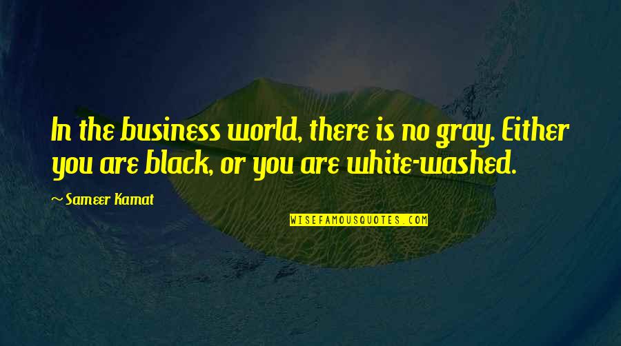 Black And White No Gray Quotes By Sameer Kamat: In the business world, there is no gray. Black And White No Gray Quotes By Sameer Kamat: In the business world, there is no gray.