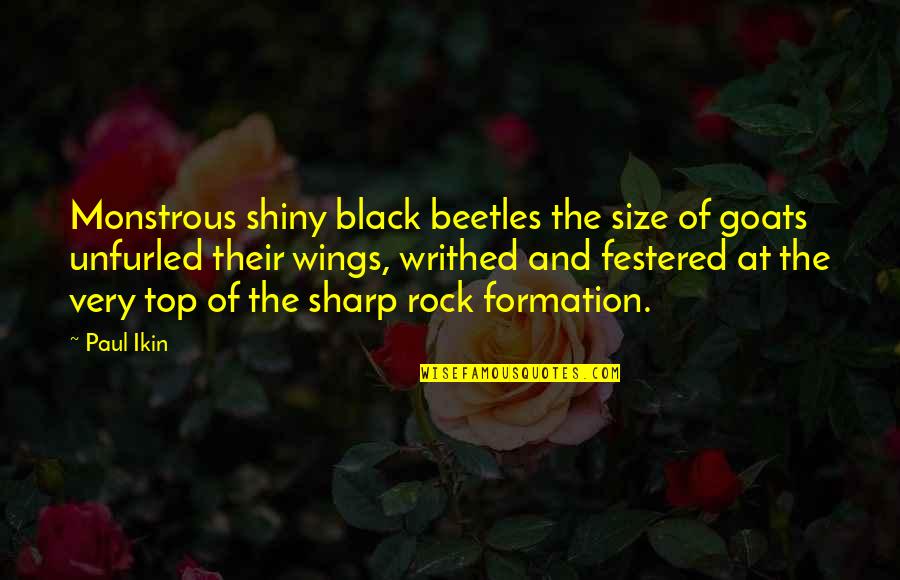 Black Beetles 1 Quotes By Paul Ikin: Monstrous shiny black beetles the size of goats Black Beetles 1 Quotes By Paul Ikin: Monstrous shiny black beetles the size of goats