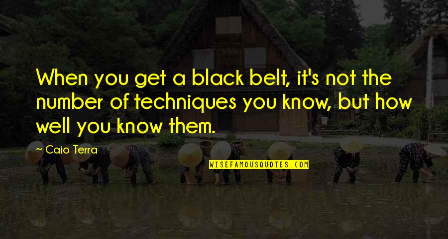 Black Belt Quotes By Caio Terra: When you get a black belt, it's not