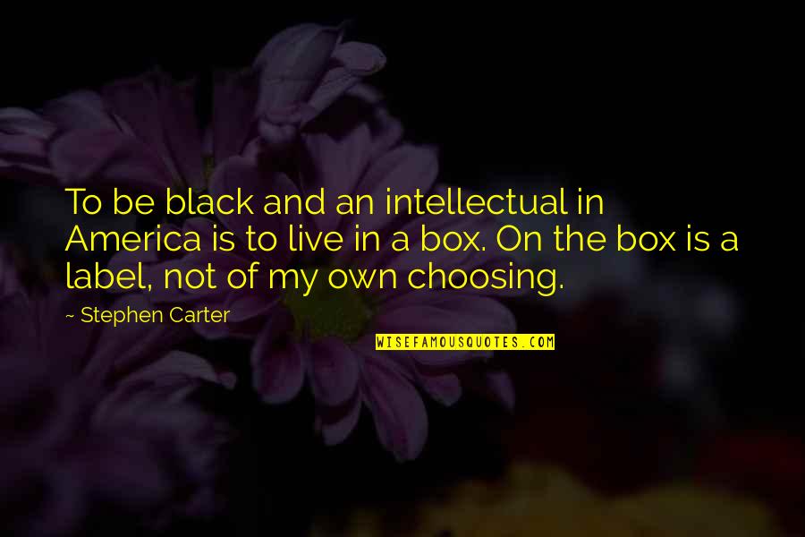 Black Box Quotes By Stephen Carter: To be black and an intellectual in America Black Box Quotes By Stephen Carter: To be black and an intellectual in America