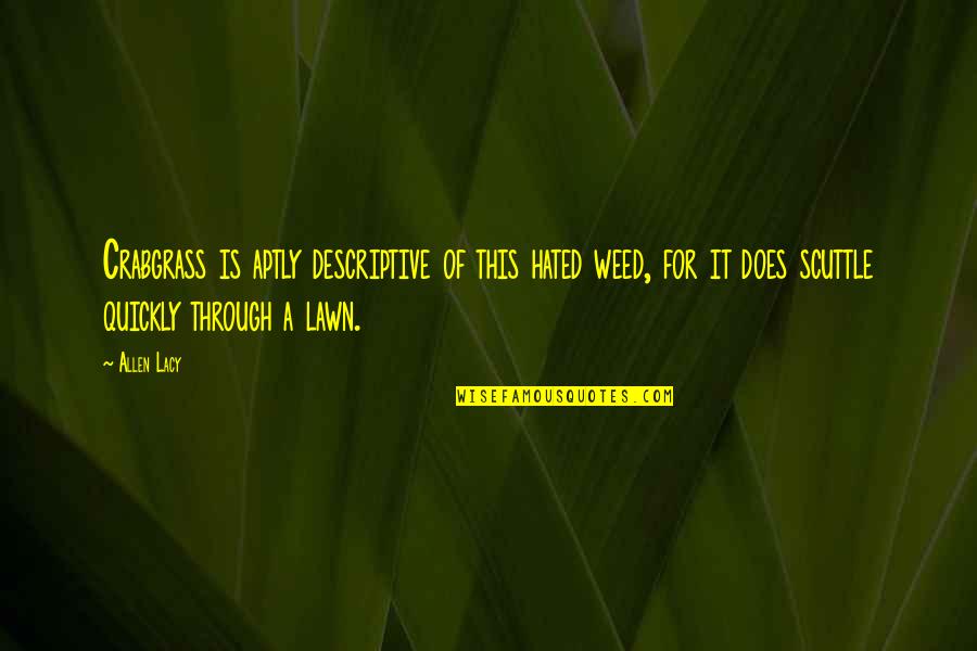 Black Boxes Quotes By Allen Lacy: Crabgrass is aptly descriptive of this hated weed, Black Boxes Quotes By Allen Lacy: Crabgrass is aptly descriptive of this hated weed,