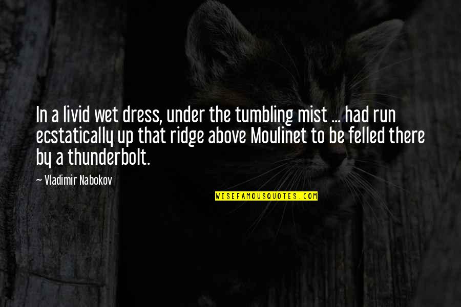 Black Cat Funny Quotes By Vladimir Nabokov: In a livid wet dress, under the tumbling