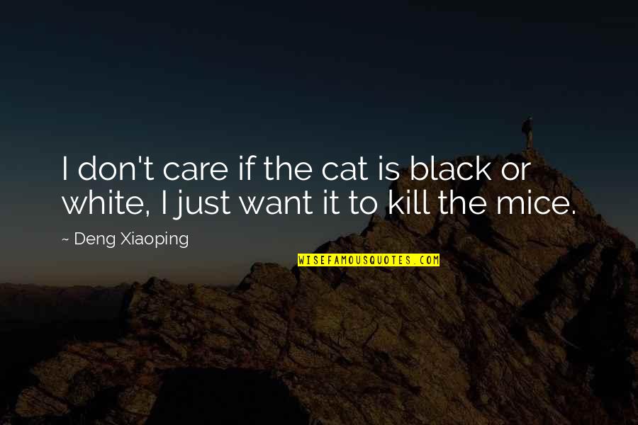 Black Cat White Cat Quotes By Deng Xiaoping: I don't care if the cat is black