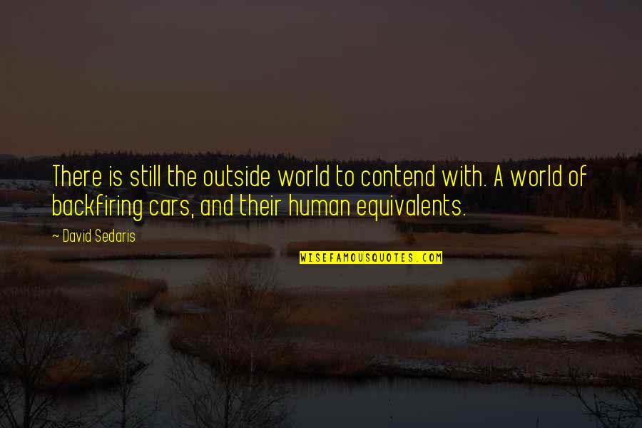 Black Cloud Over My Head Quotes By David Sedaris: There is still the outside world to contend