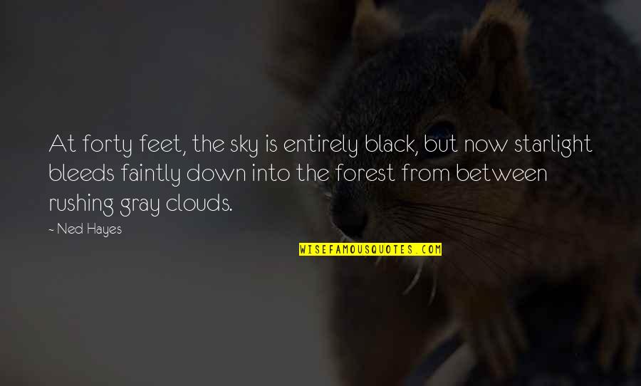 Black Clouds Quotes By Ned Hayes: At forty feet, the sky is entirely black,