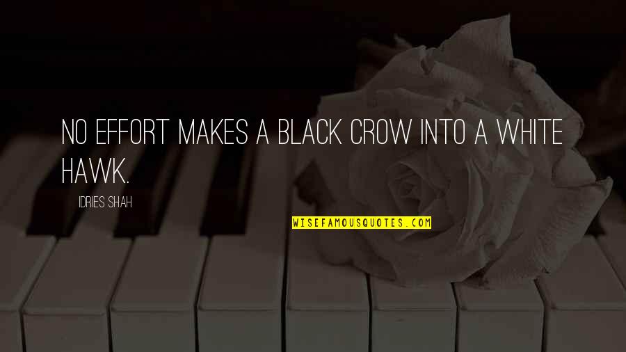 Black Crow Quotes By Idries Shah: No effort makes a black crow into a