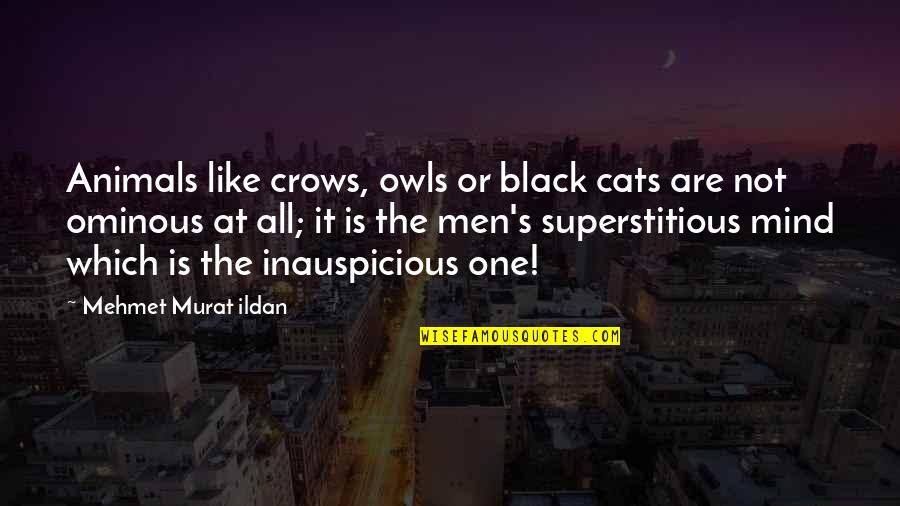 Black Crows Quotes By Mehmet Murat Ildan: Animals like crows, owls or black cats are