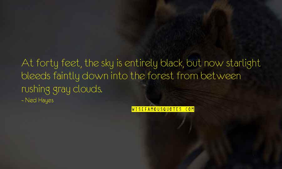 Black Down Quotes By Ned Hayes: At forty feet, the sky is entirely black,