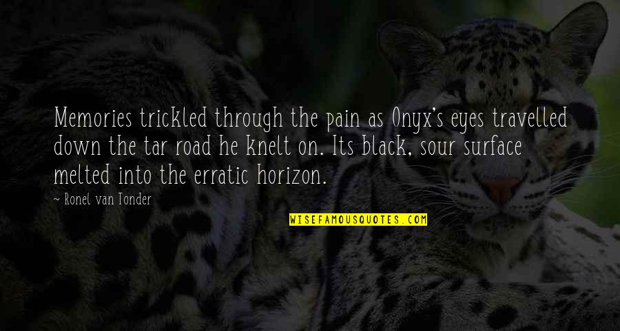 Black Down Quotes By Ronel Van Tonder: Memories trickled through the pain as Onyx's eyes