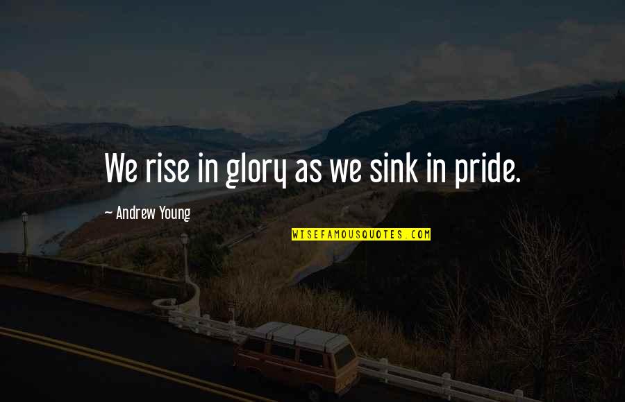 Black Dynamite Bullhorn Quotes By Andrew Young: We rise in glory as we sink in Black Dynamite Bullhorn Quotes By Andrew Young: We rise in glory as we sink in