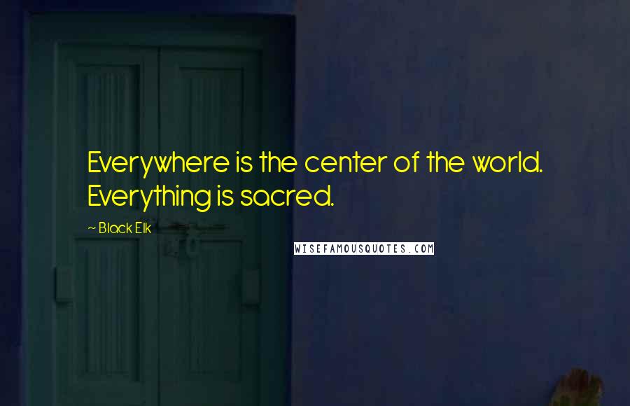 Black Elk quotes: Everywhere is the center of the world. Everything is sacred.