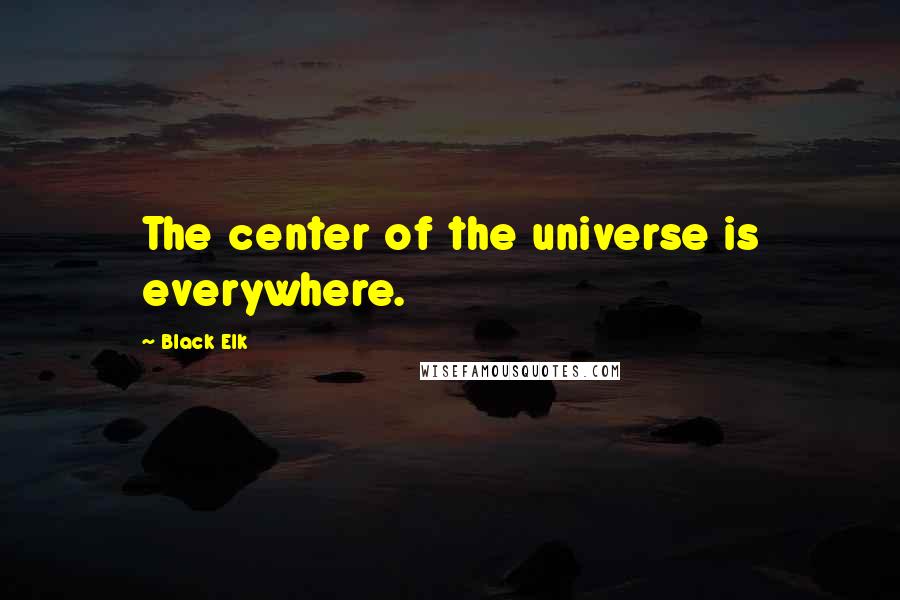 Black Elk quotes: The center of the universe is everywhere.