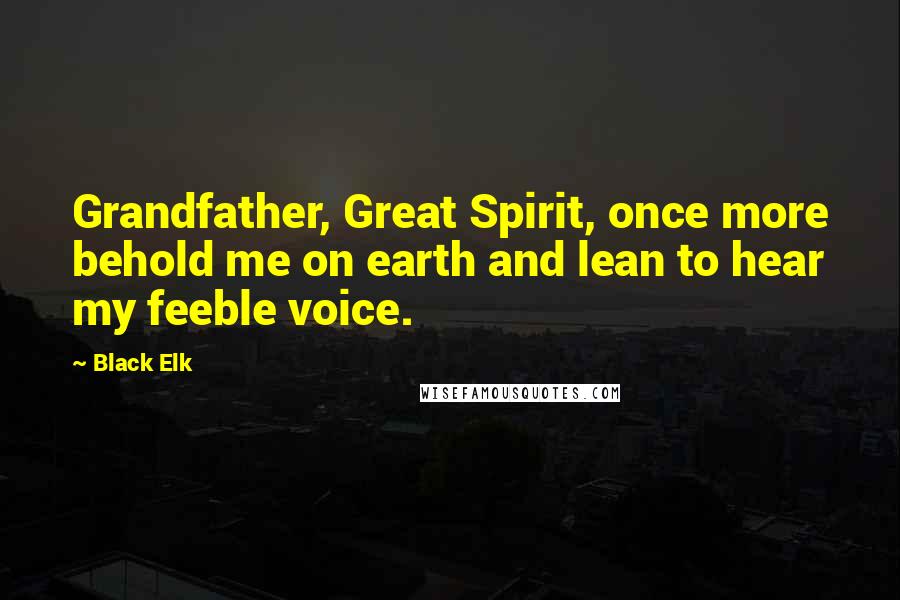 Black Elk quotes: Grandfather, Great Spirit, once more behold me on earth and lean to hear my feeble voice.