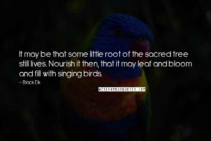 Black Elk quotes: It may be that some little root of the sacred tree still lives. Nourish it then, that it may leaf and bloom and fill with singing birds.