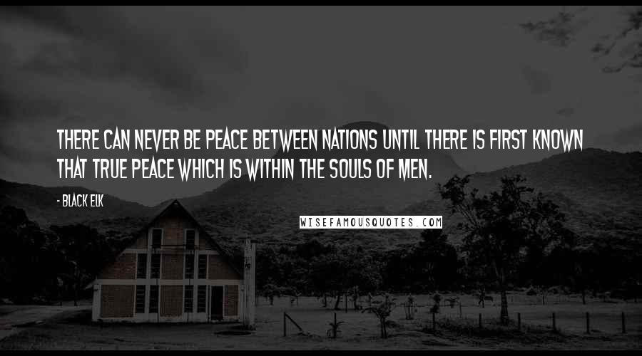 Black Elk quotes: There can never be peace between nations until there is first known that true peace which is within the souls of men.