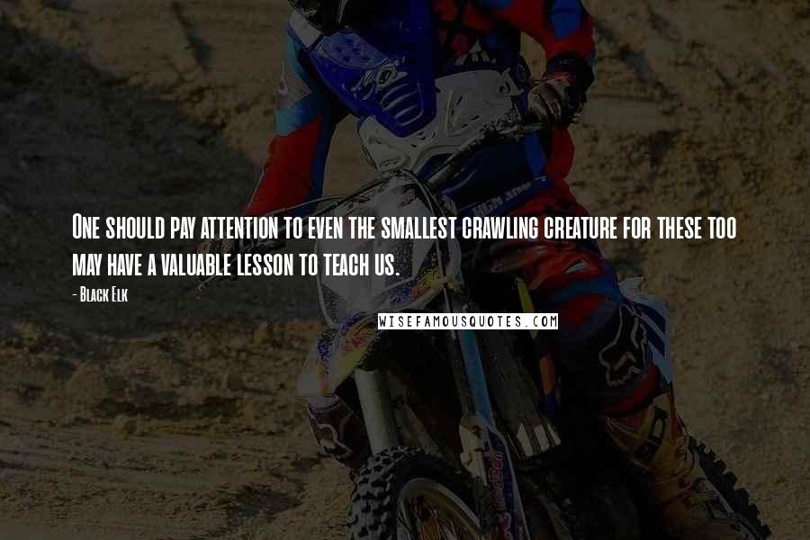 Black Elk quotes: One should pay attention to even the smallest crawling creature for these too may have a valuable lesson to teach us. Black Elk quotes: One should pay attention to even the smallest crawling creature for these too may have a valuable lesson to teach us.