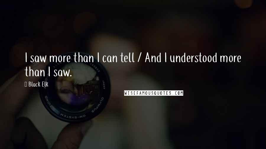 Black Elk quotes: I saw more than I can tell / And I understood more than I saw.