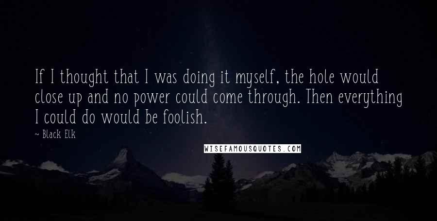 Black Elk quotes: If I thought that I was doing it myself, the hole would close up and no power could come through. Then everything I could do would be foolish.