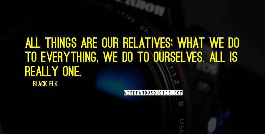 Black Elk quotes: All things are our relatives; what we do to everything, we do to ourselves. All is really One.