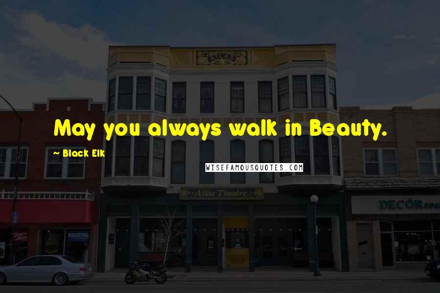 Black Elk quotes: May you always walk in Beauty.