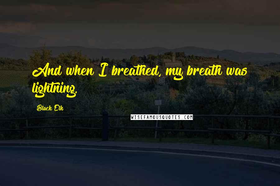 Black Elk quotes: And when I breathed, my breath was lightning.