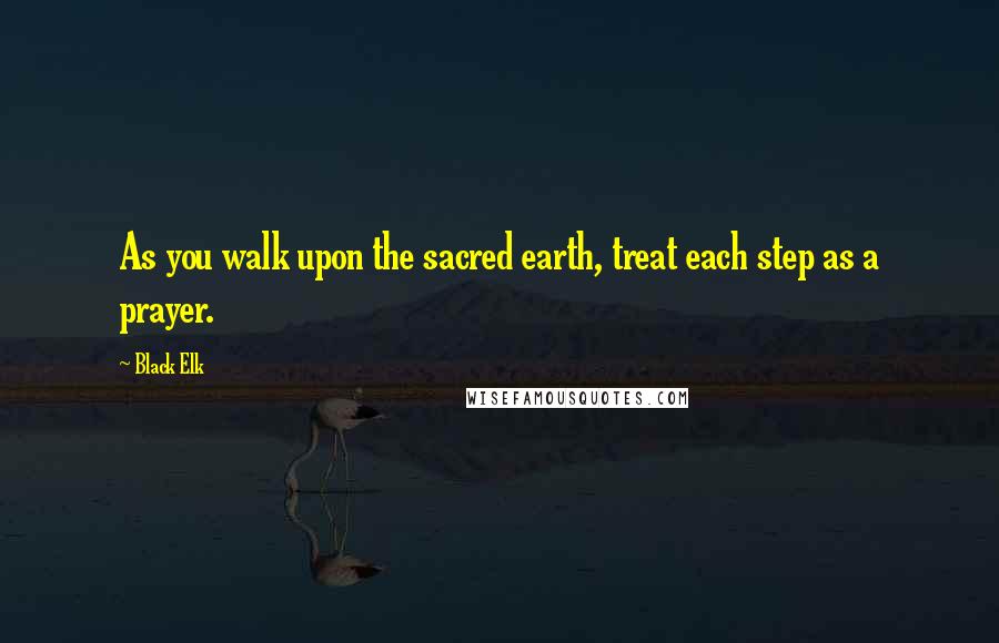 Black Elk quotes: As you walk upon the sacred earth, treat each step as a prayer.
