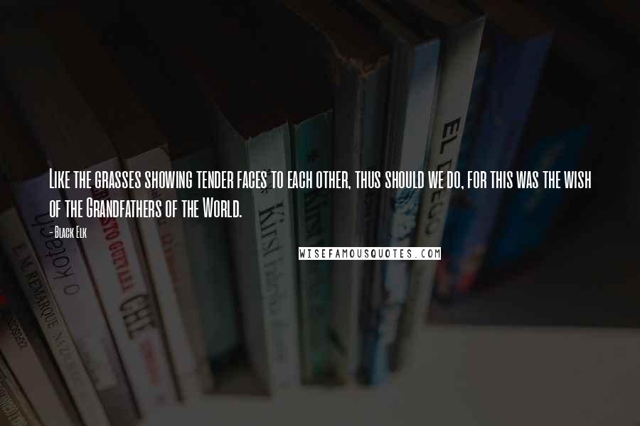 Black Elk quotes: Like the grasses showing tender faces to each other, thus should we do, for this was the wish of the Grandfathers of the World.